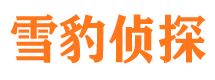 文县侦探公司